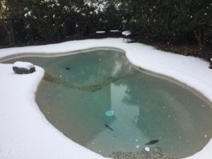 piscina naturale da giardino dinverno