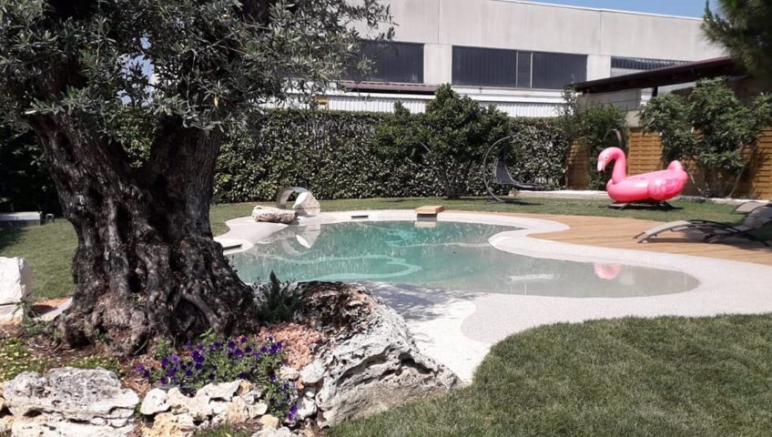 giardino con piscina di design